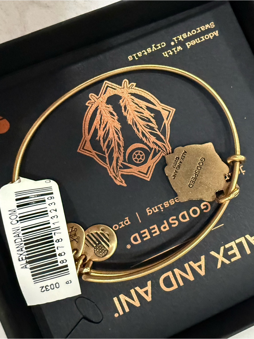 Alex and Ani Adjustable Bangle Bracelet